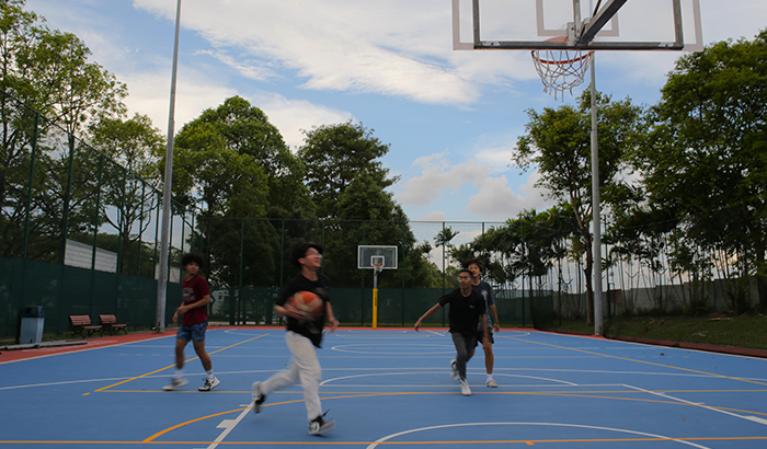 Basketball Courts